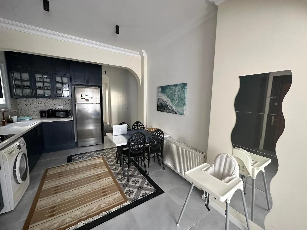 Center Of City In Besiktas 2 Plus 1 With 2 Bathroom And 3 Air Conditioner Istanbul 0*,  Turcia