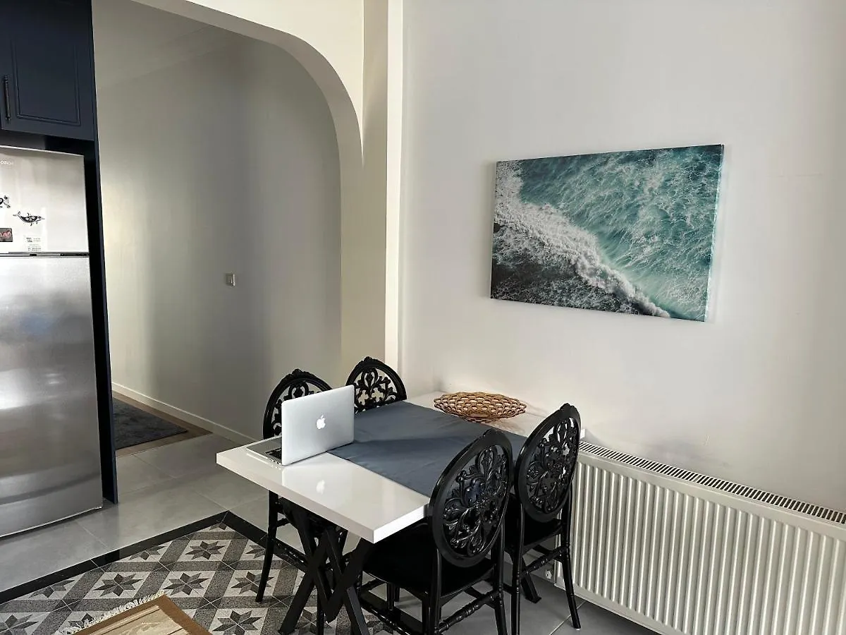 Center Of City In Besiktas 2 Plus 1 With 2 Bathroom And 3 Air Conditioner Istanbul Apartament