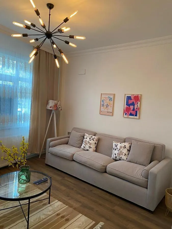 Apartment Center Of City In Besiktas 2 Plus 1 With 2 Bathroom And 3 Air Conditioner Istanbul Turkey