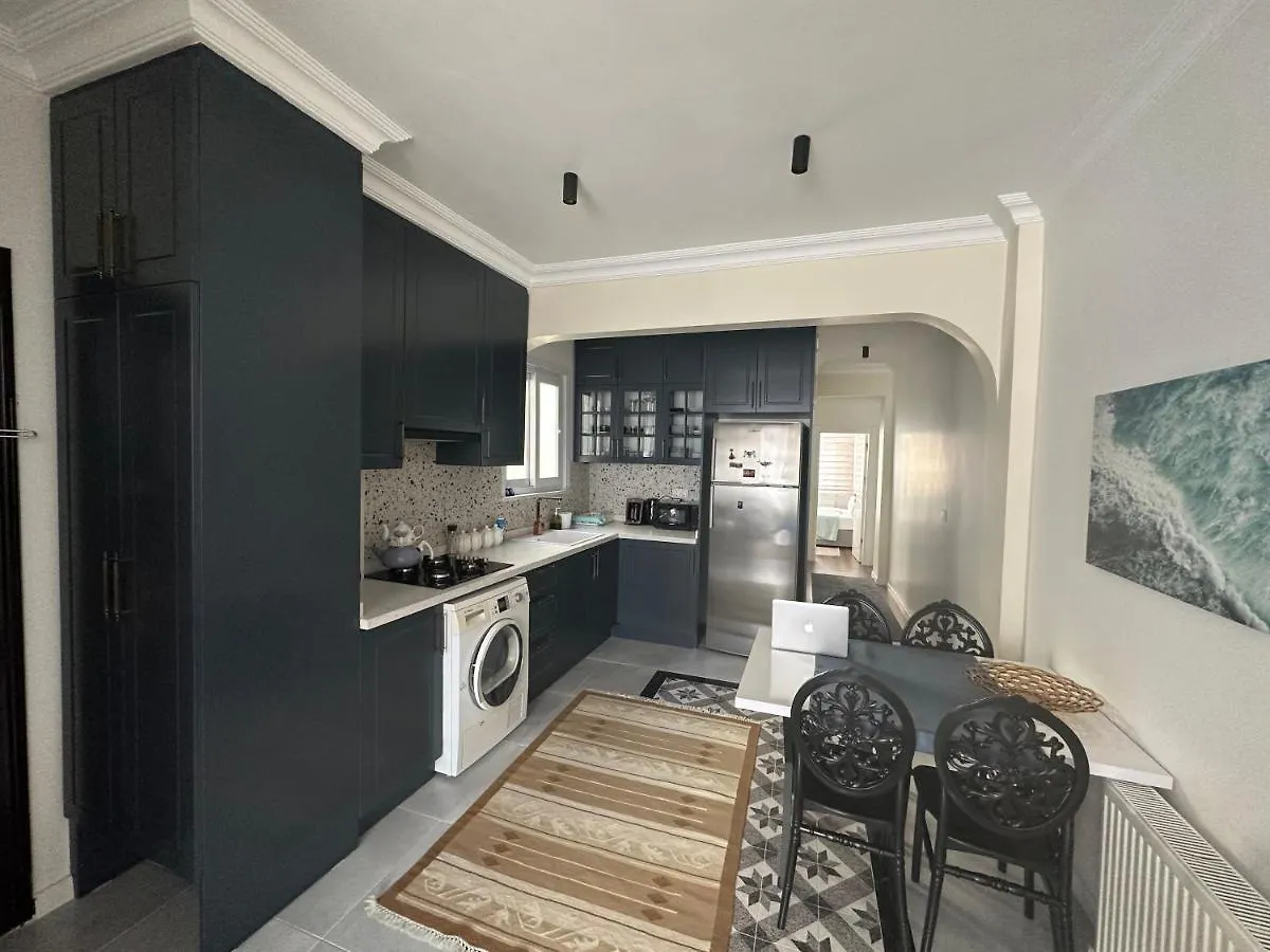 Center Of City In Besiktas 2 Plus 1 With 2 Bathroom And 3 Air Conditioner Istanbul 0*,