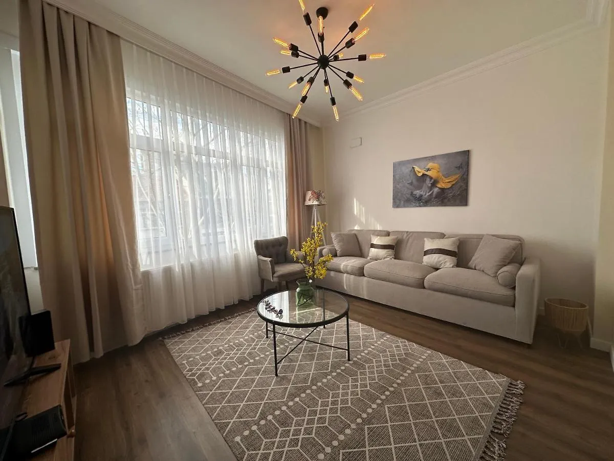 איסטמבול Center Of City In Besiktas 2 Plus 1 With 2 Bathroom And 3 Air Conditioner דירה