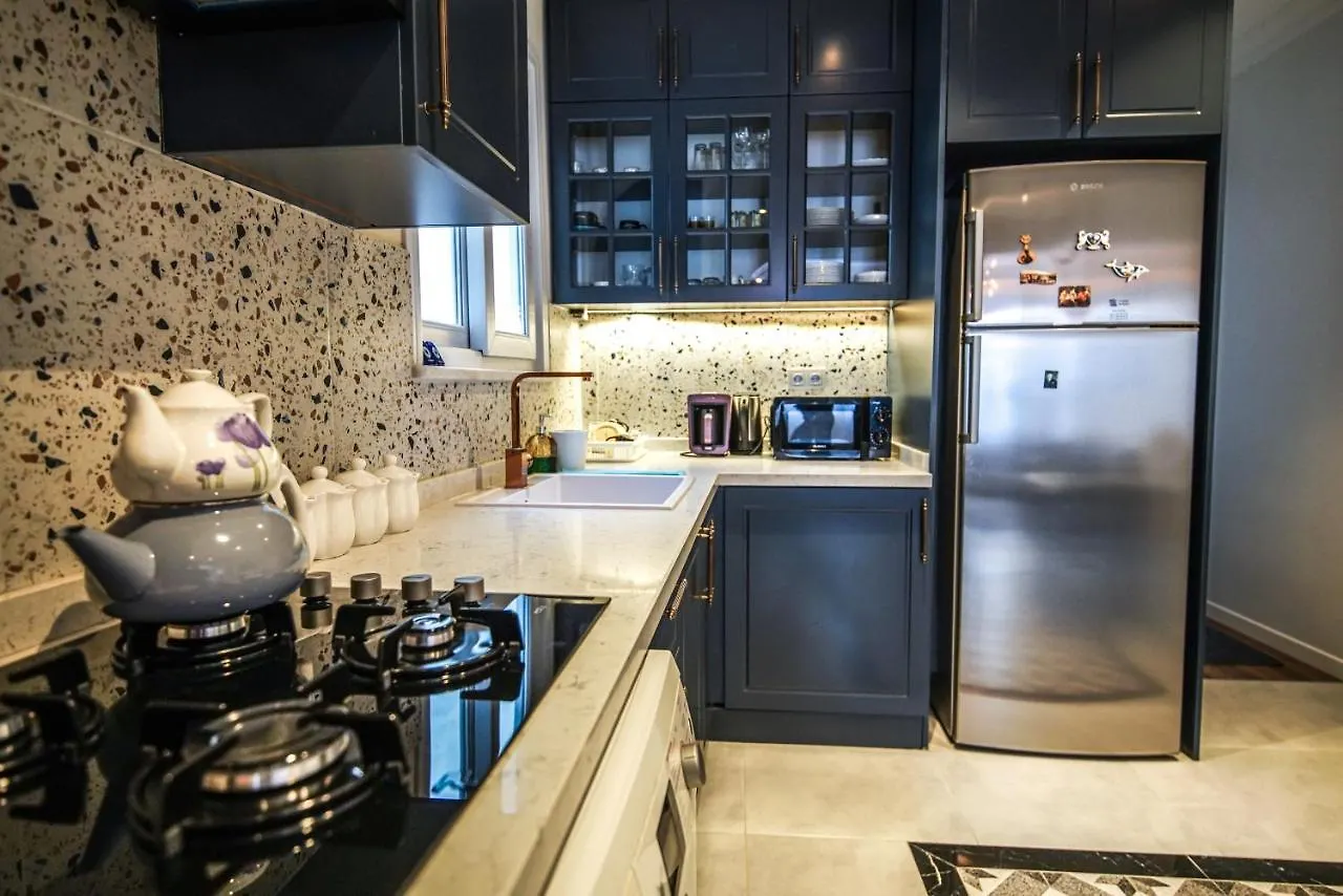דירה איסטמבול Center Of City In Besiktas 2 Plus 1 With 2 Bathroom And 3 Air Conditioner